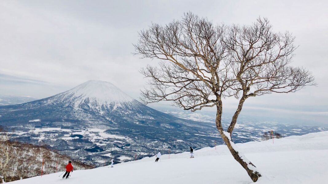 The Rise of Experiential Travel: What You Need to Know