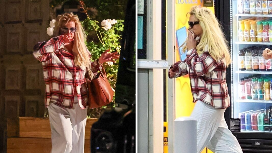Britney Spears’ Dog Receives Clean Bill of Health During Birthday Celebration