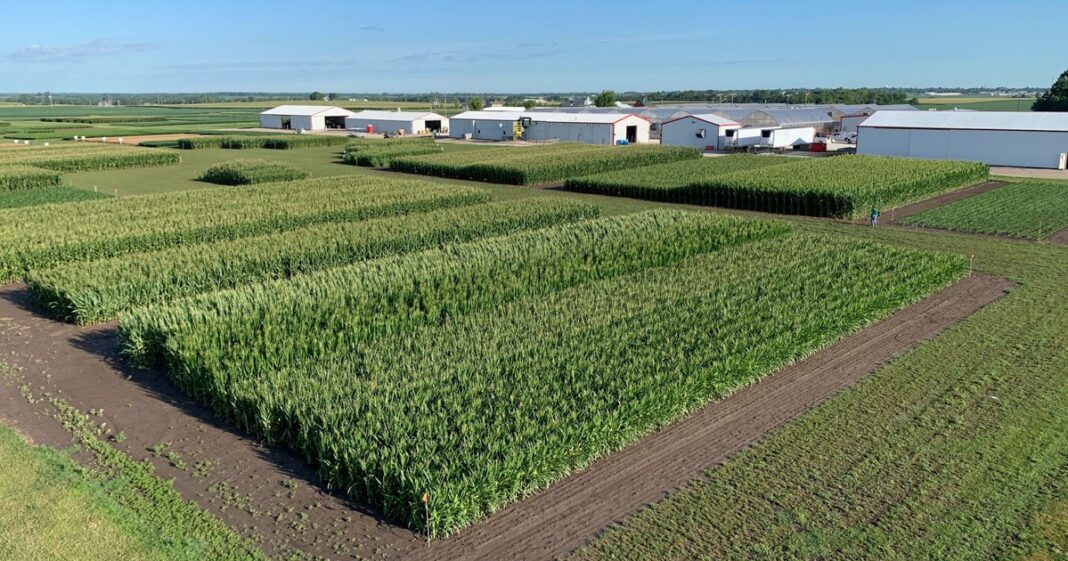 Bayer’s Cutting-Edge Innovations and Sustainable Solutions for Agriculture’s Greatest Challenges