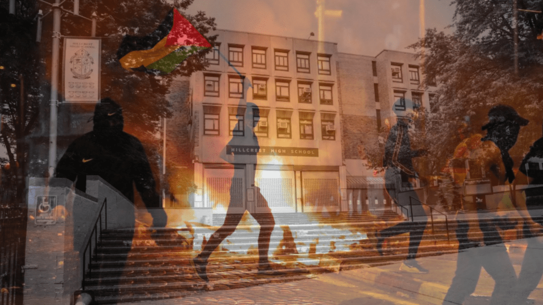 The Determined Mission of Jacqueline Toboroff: Addressing Antisemitic Attacks in NYC Education
