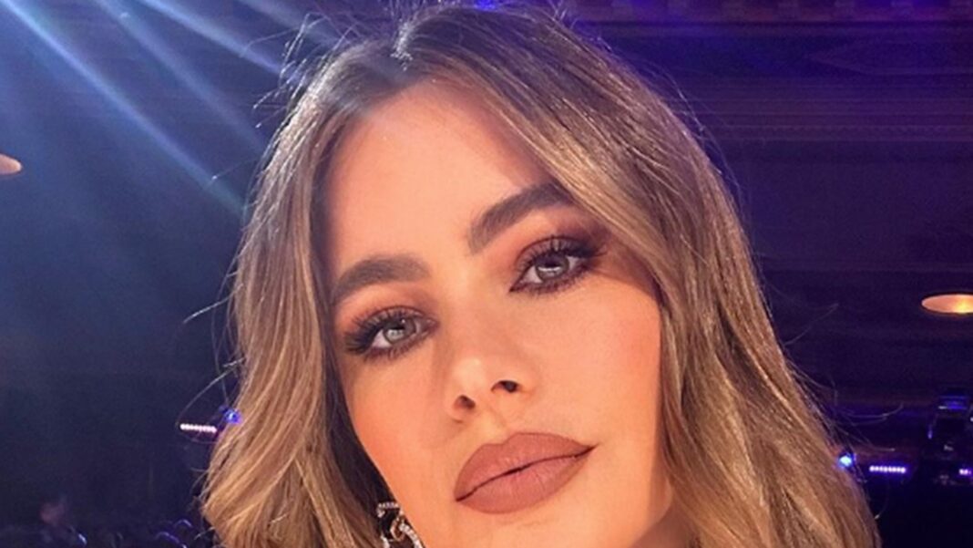 Sofia Vergara Takes Action Against Unstable Stalker With Restraining Order