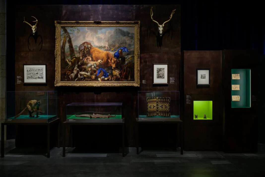 The Intriguing Origins of Modern Museums: Cabinets of Curiosities