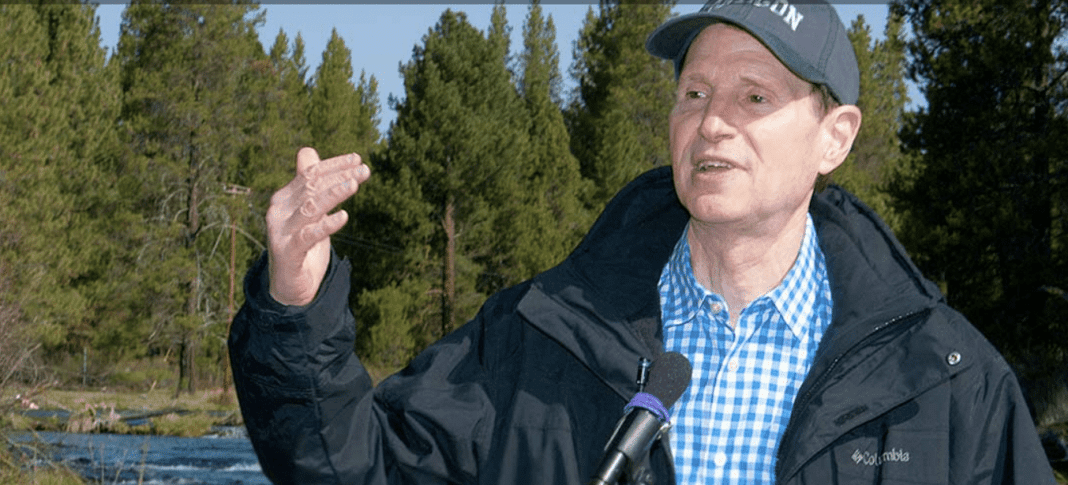 The Invasion of Privacy: How Governments Can Access Your Android and iOS Notifications