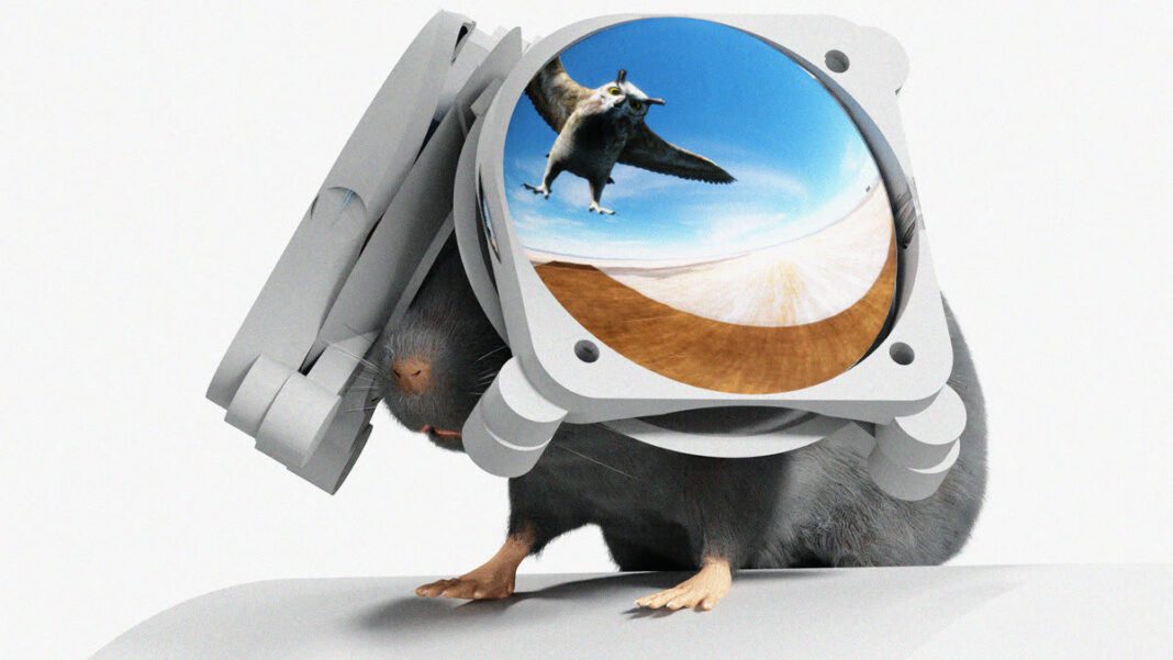 Cutting-Edge Innovation: The Adorable VR Headset Designed for Mice by Scientists