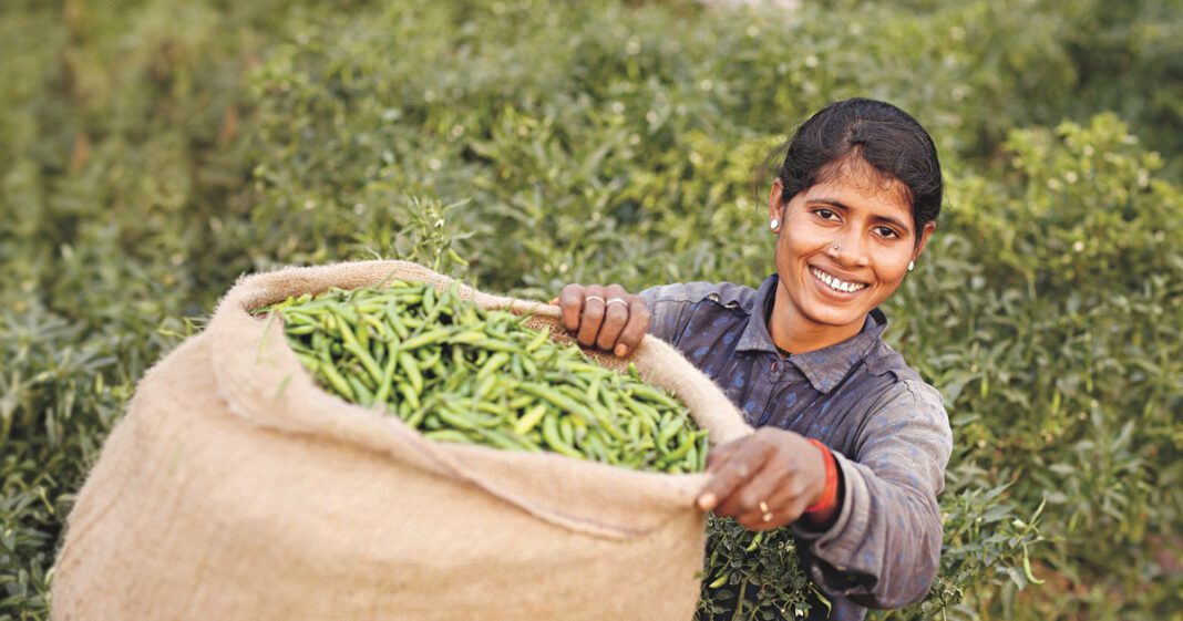 Global Research Reveals: Majority of Farmers Facing Significant Impacts of Climate Change