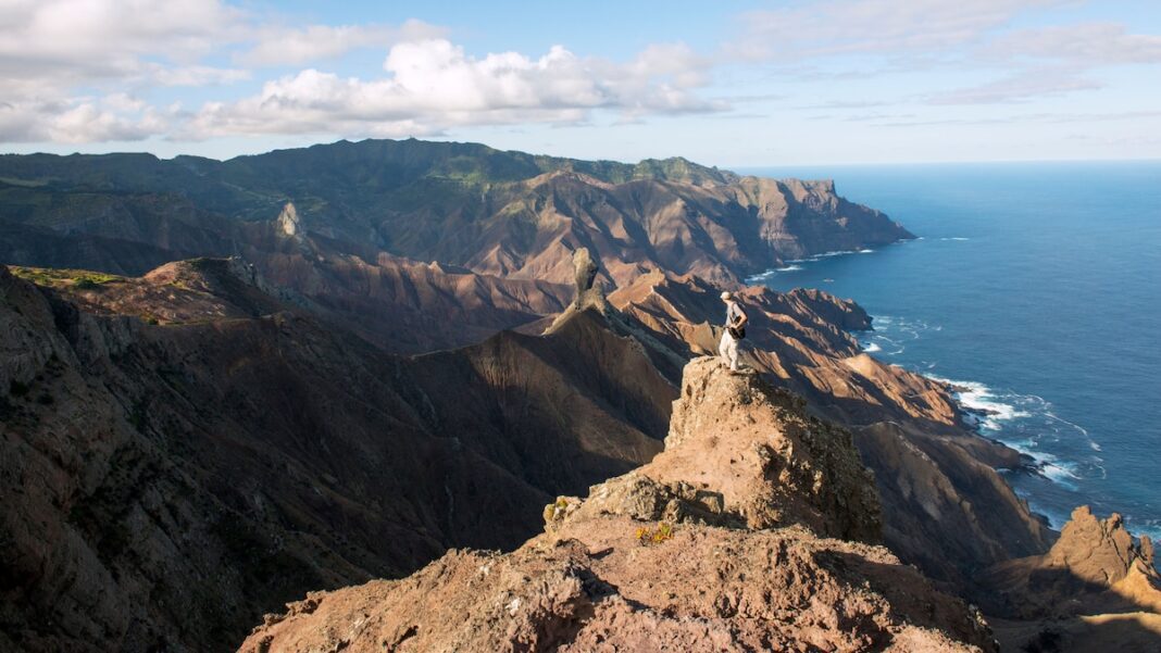 Discover the Rich Wildlife of St Helena: Close-up Marine Encounters and Rare Birdlife