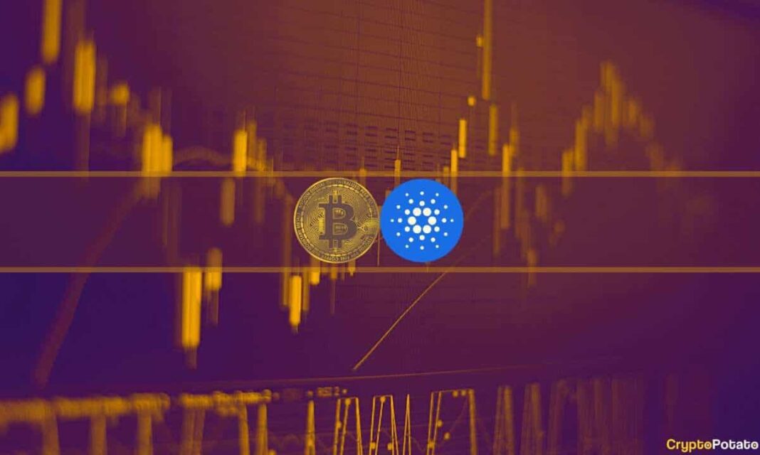 Bitcoin (BTC) Inches Closer to $45K While Cardano (ADA) Surges by 30% Daily: Weekend Update