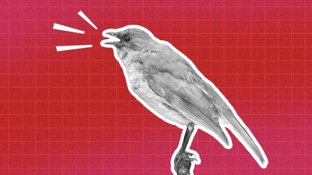 Unbelievable: 2023 Saw the Extinction of These Animals