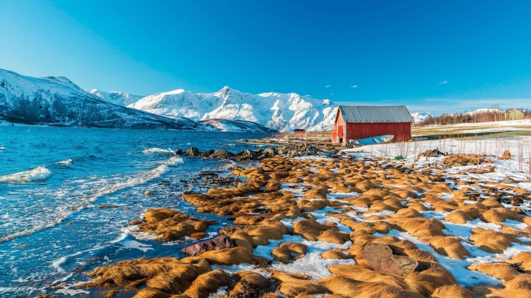 Sail and Ski in Norway: Unleash Your Inner Adventurer at the Edge of the World