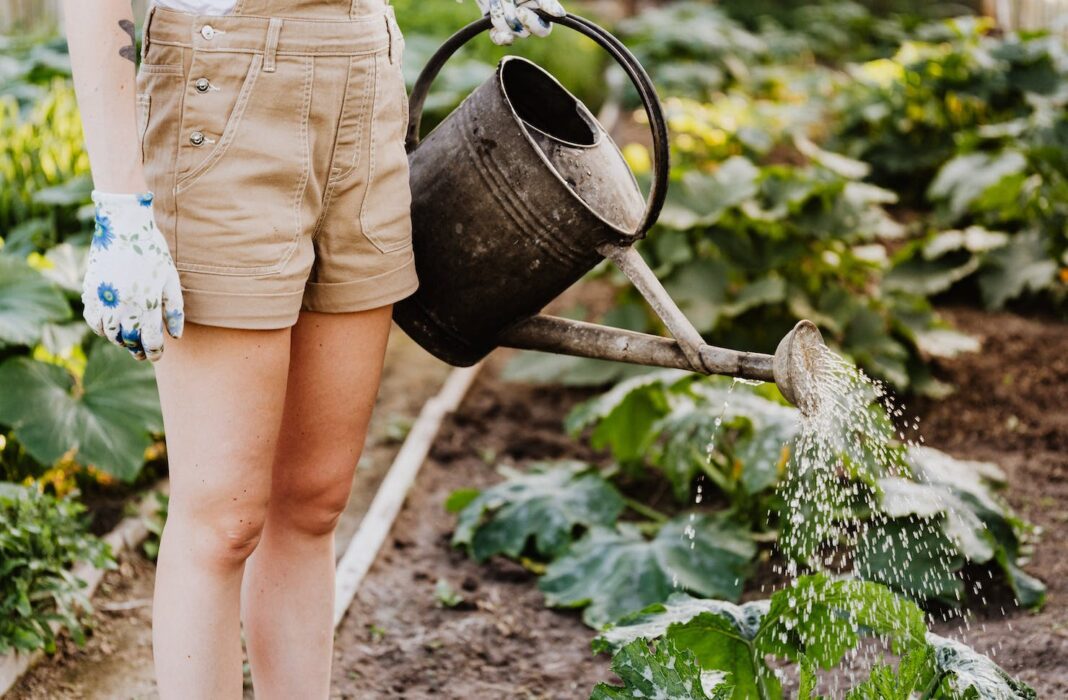 2024 Food Trends: What to Look Forward to