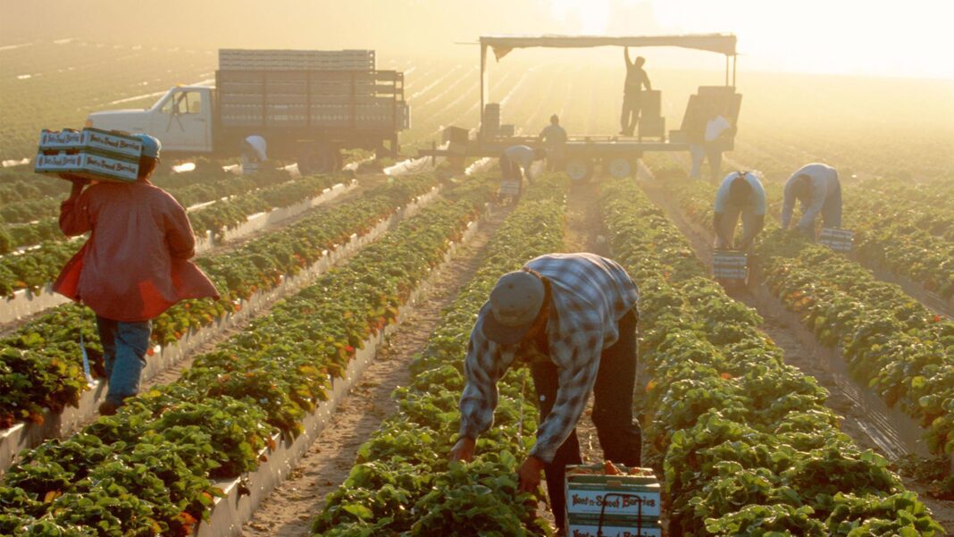 Protecting Farmworkers from Heat-Related Illness and Death: It’s Time to Take Action