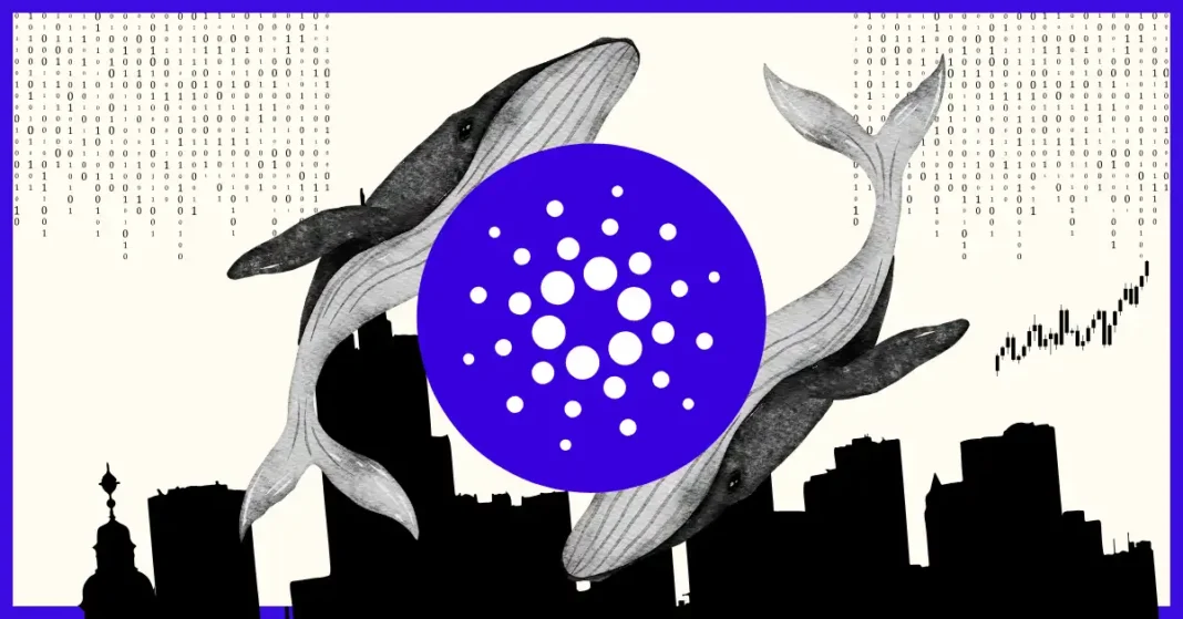Cardano’s Price Set to Soar: ADA Poised to Reach $0.93 Soon