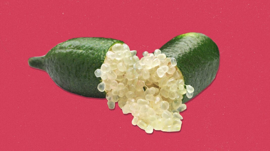 Uncovering the Delicious Secret of Finger Limes