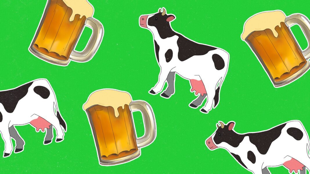 Mark Zuckerberg Ventures into Unconventional Farming: Beer-Fed Cattle and Macadamia Ranching