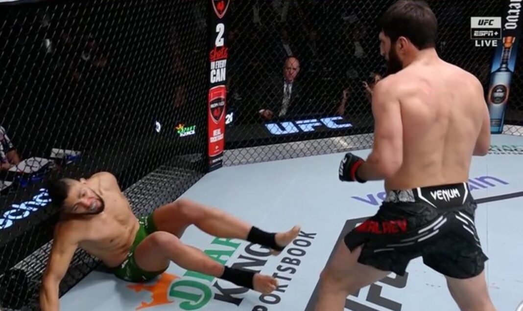 Magomed Ankalaev Dominates Johnny Walker at UFC Vegas 84