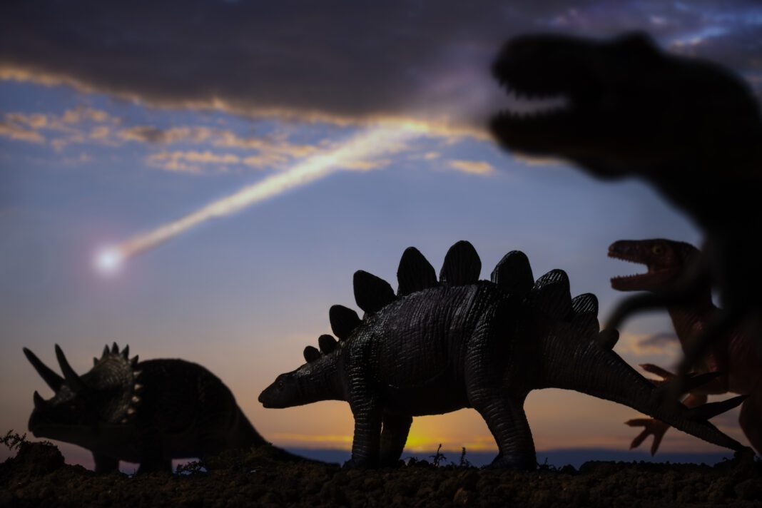 Surviving the Apocalypse: How Some Animals Outlasted the Dinosaur-Killing Asteroid