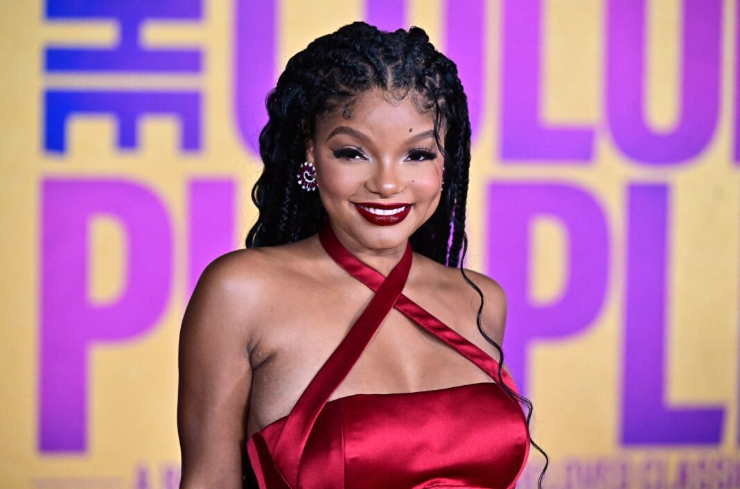 Halle Bailey’s Stunning Underwater Maternity Shoot Unveils Her Baby Bump