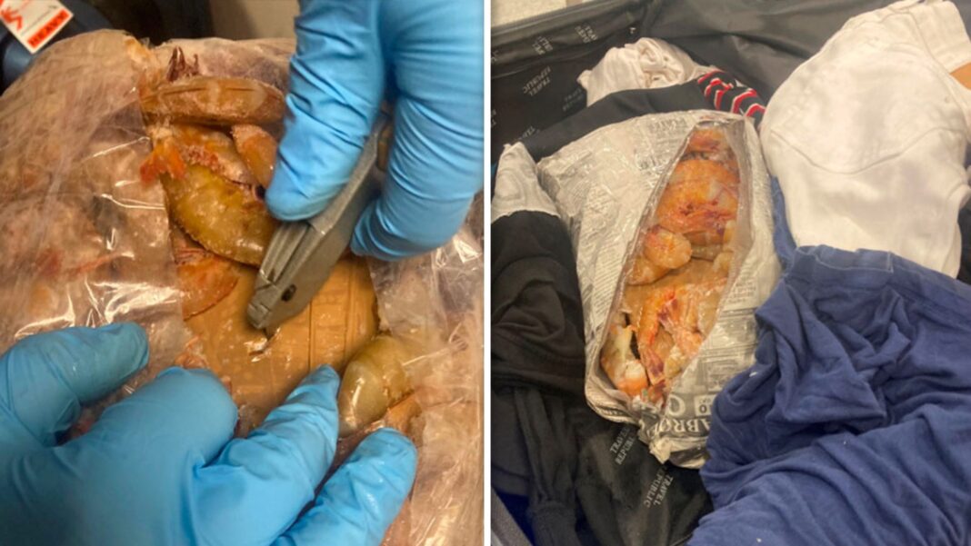 Arrest Made in Frozen Shrimp Cocaine Smuggling Case