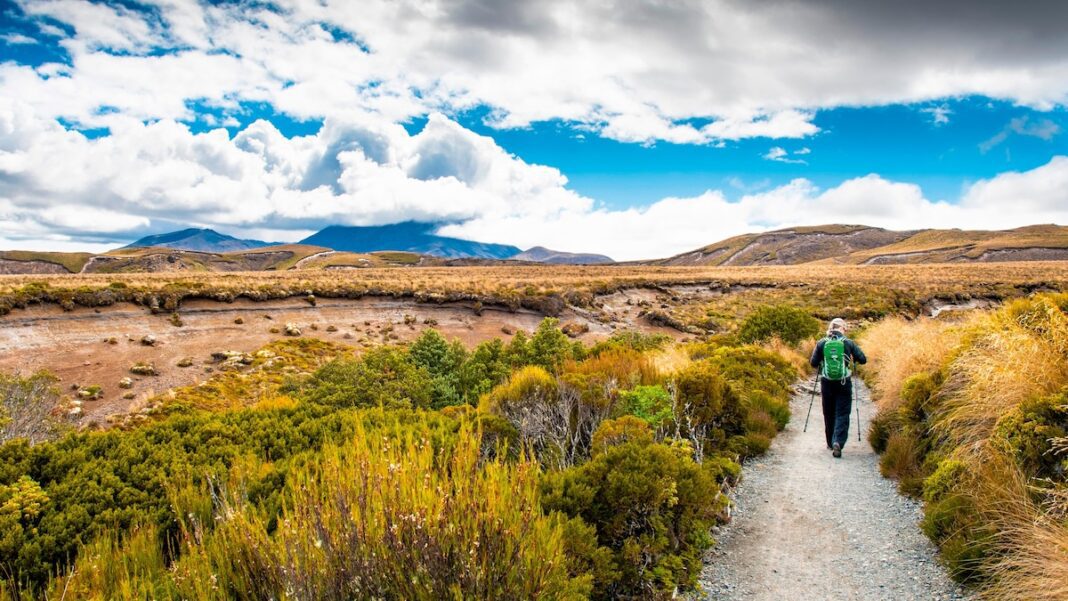 Plan the Ultimate Hiking Adventure in New Zealand