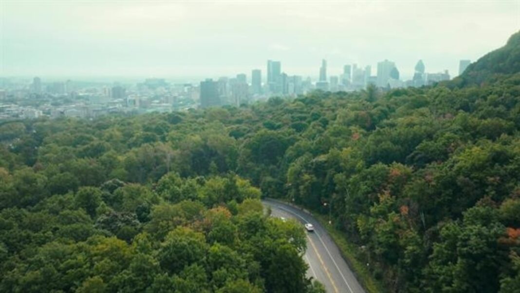 Canada’s Seasonal Bounty: A Warm Welcome for All