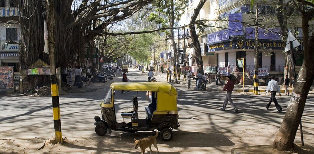 Exploring Bangalore’s Natural History: When Cities Were Nature’s Haven