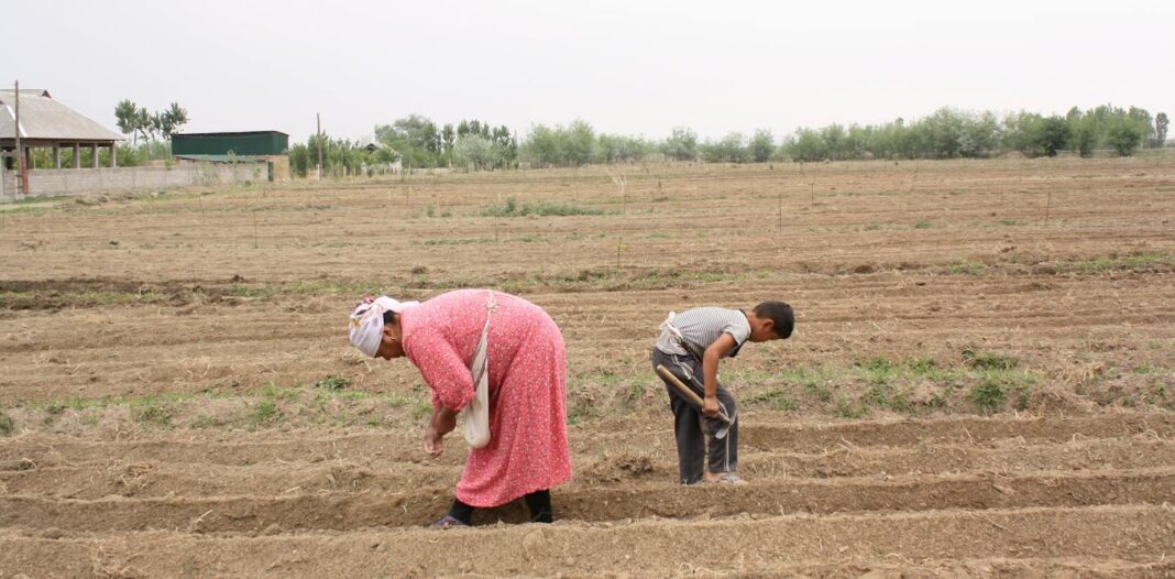 The Forgotten Generation: Migrant Women Workers and Children in Kyrgyzstan