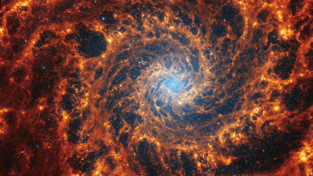Captivating Views: JWST Revels in the Swirling Arms of 19 Spiral Galaxies