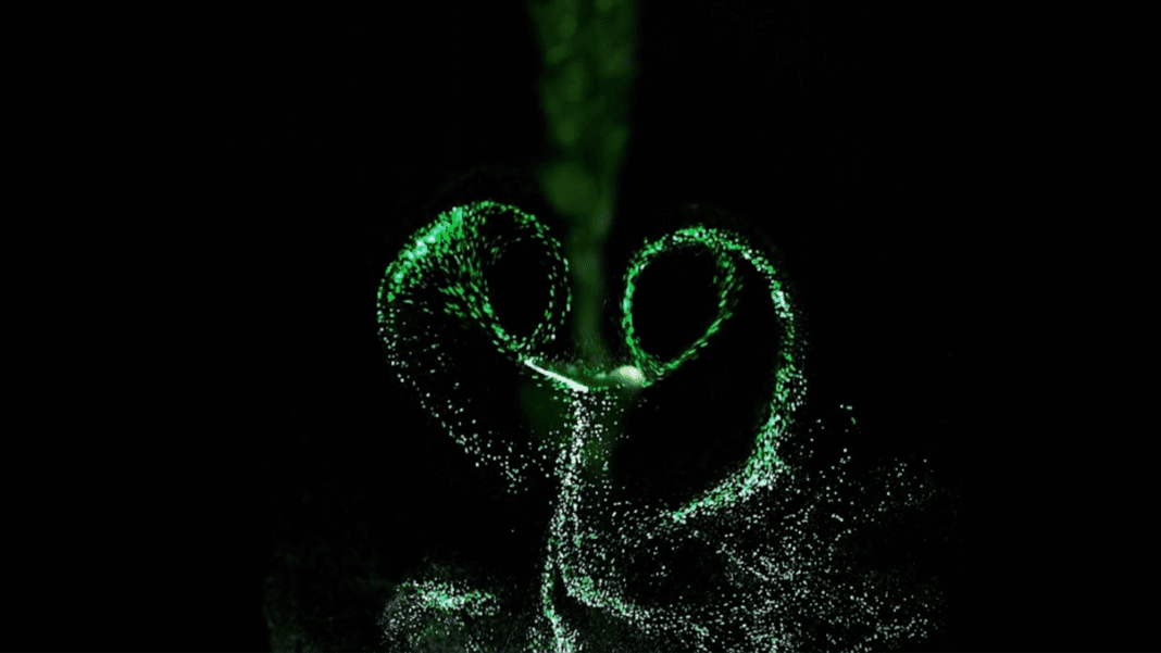 How ‘Tiny Tornadoes’ are Spreading Plant Pathogens