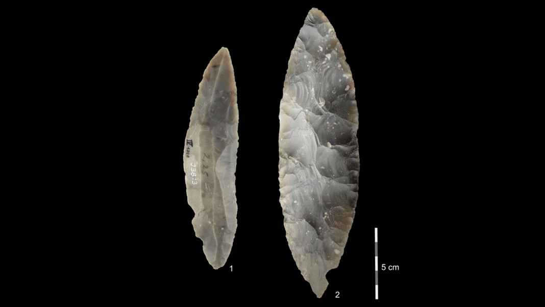 When Neanderthals and Modern Humans Came Together in Europe 45,000 Years Ago