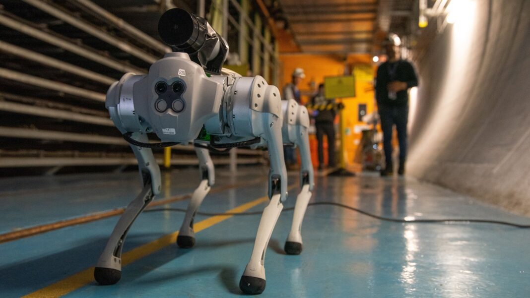 Meet the Robodog Keeping Watch at the Large Hadron Collider