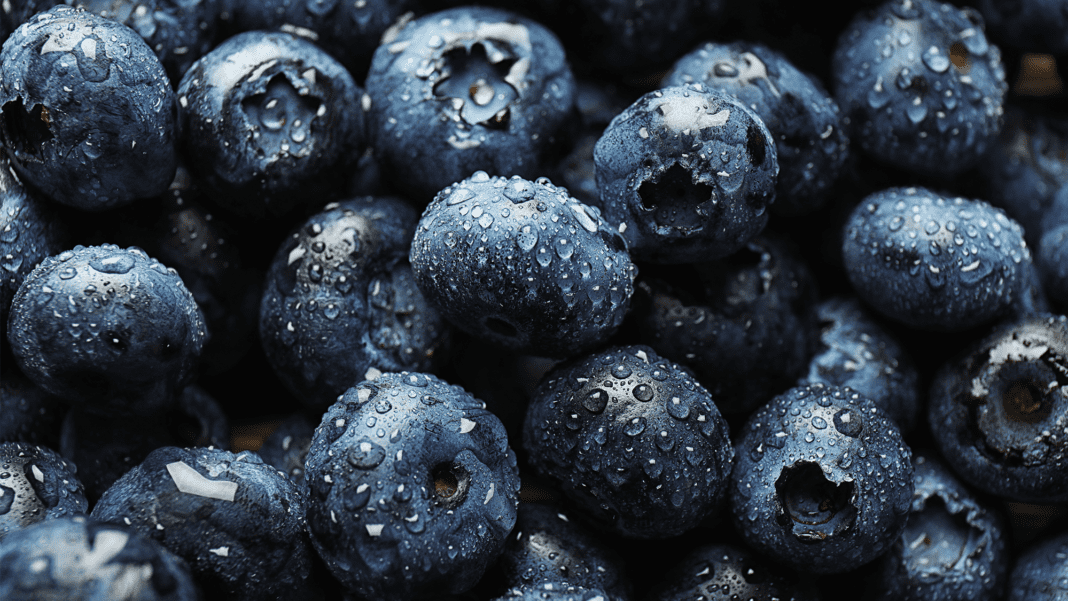 The Surprising Science Behind Blueberries’ Color