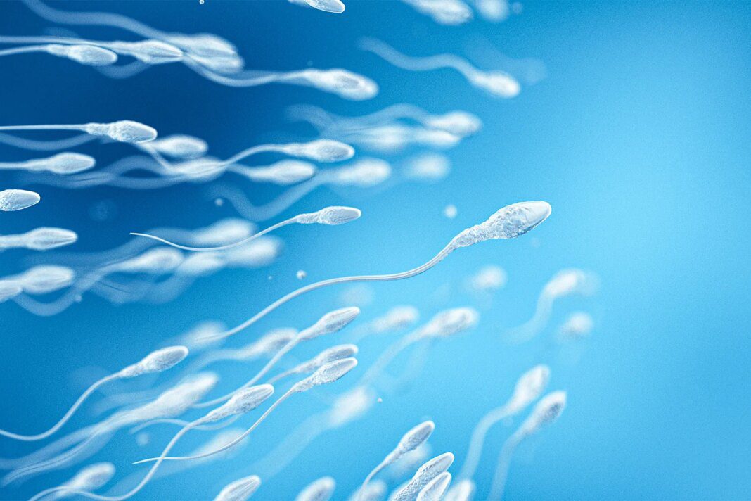 Are Sperm Donors Really as Anonymous as They Believe