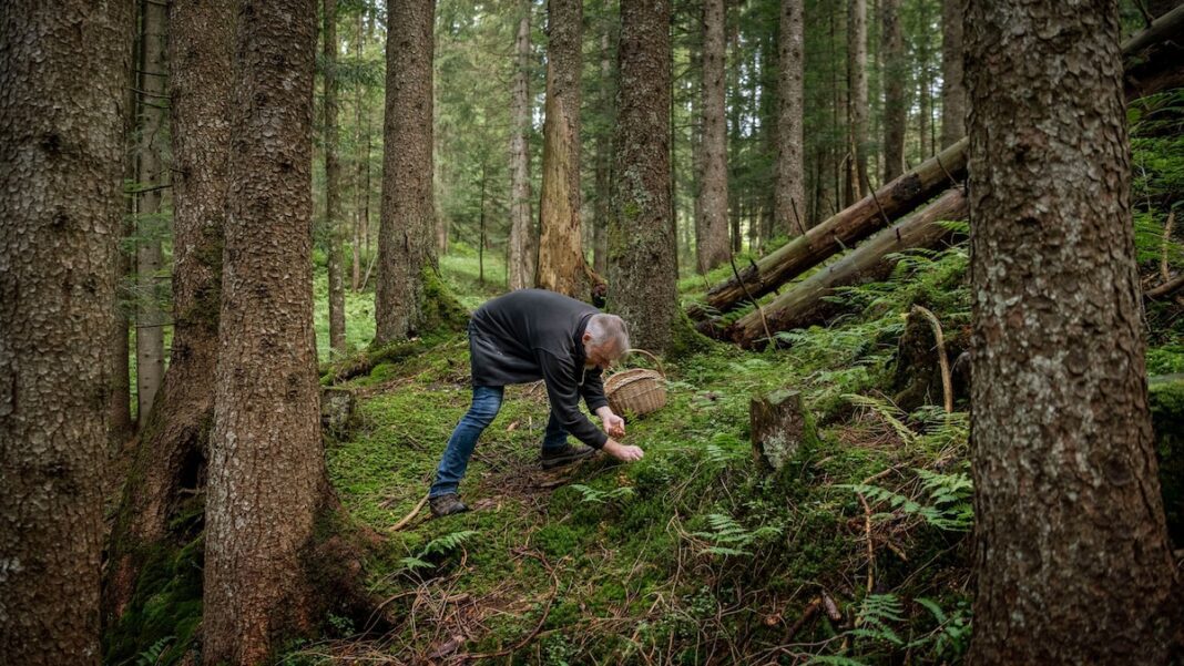 Easy Ways to Live a More Sustainable Lifestyle