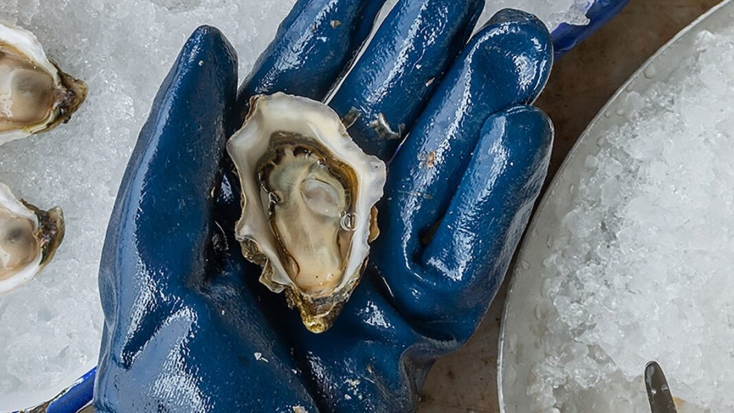 Hidden Gem: Discover Northern California’s Oyster Capital
