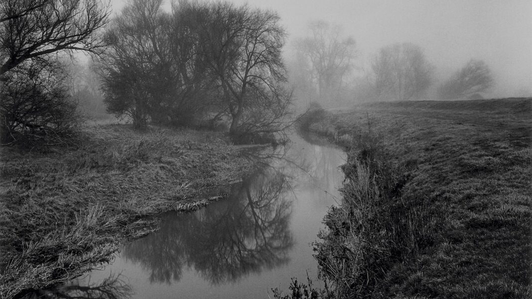 Unraveling the Mysteries of Bogs: What’s Hiding in the Mist