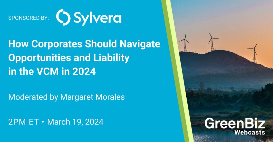 Navigating Opportunities and Liability in the VCM: A Guide for Corporates in 2024