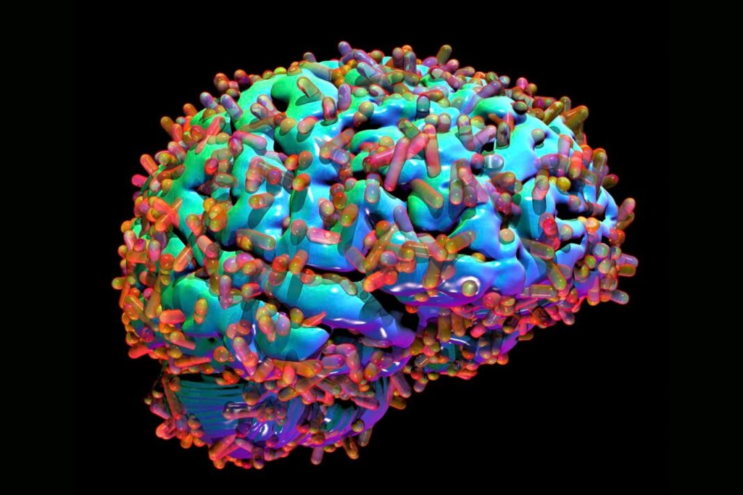 Unleashing the Power of the Brain’s Microbiome for Curing Alzheimer’s