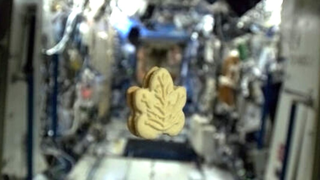 Canada Treats Artemis 2 Moon Astronauts to Maple Cream Cookies and Smoked Salmon