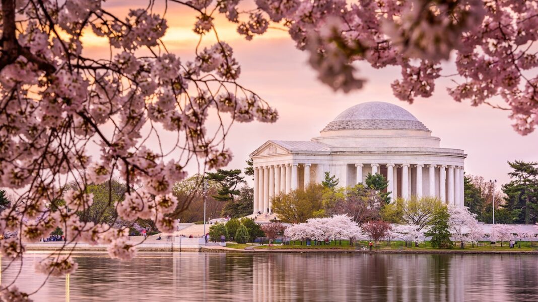 Best Spots to Witness Cherry Blossoms Blooming in the United States