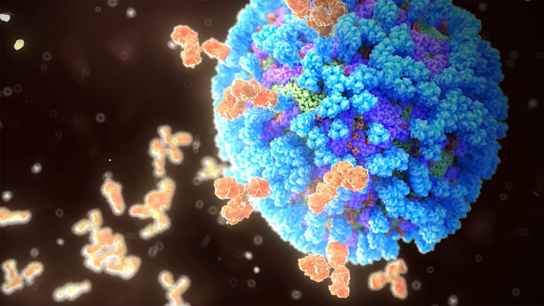 Unlocking the Mystery: Scientists Discover Rare Antibodies Targeting Flu Virus’s ‘Dark Side