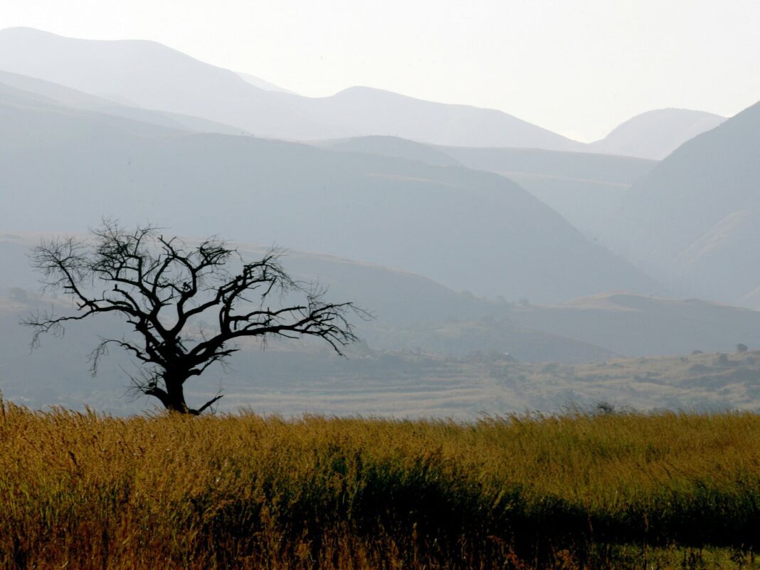 Three Eswatini chiefdoms overcome rivalry to preserve indigenous forest