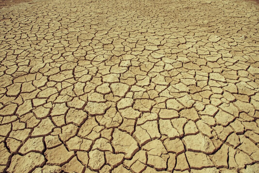 Heat Action Day Report: Climate change and the escalation of global extreme heat