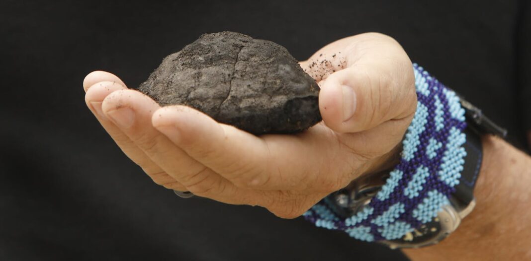 We don’t need deep-sea mining, or its environmental harms. Here’s why