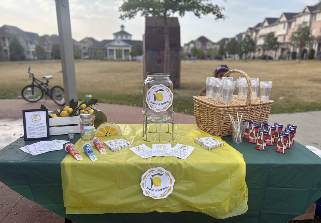 How we shared the values of Arbaeen with our Toronto neighbors