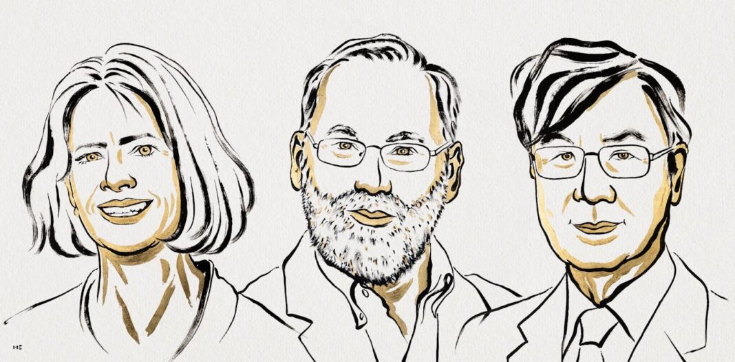 Nobel prize awarded for discovery of immune system’s ‘security guards’