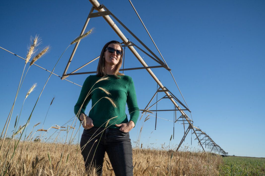 America’s Rye Whiskey Resurgence Could Help the Climate, but Not by Itself