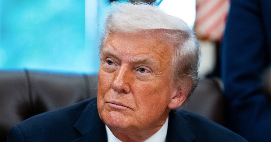 Trump says he is committed to ongoing ICE raids: ‘They haven’t gone far enough’