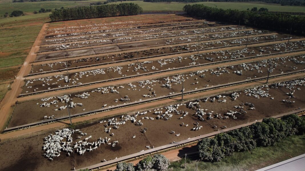 Tyson, JBS cases mark new level of scrutiny of corporate greenwashing