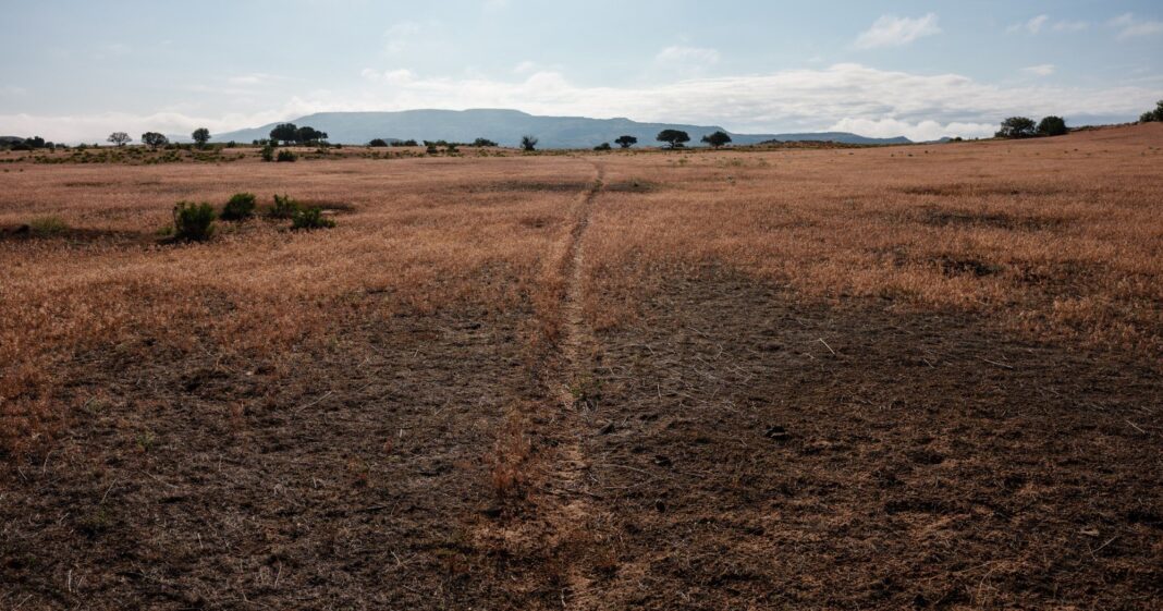 Powerful Friends: Sympathetic Officials and “Cultural Power” Help Ranchers Dodge Oversight