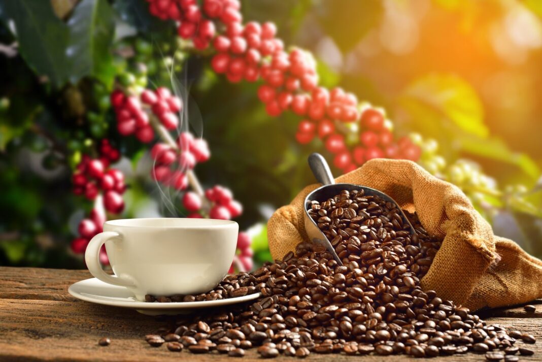 Coffee Prices Rally on Brazilian Heat Wave